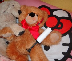 Sonntag ab 14 Uhr Ladenburg: Fody`s AWO Kindertag & Teddyklinik