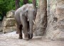 Fody’s Fährhaus Ladenburg: Zu jedem Buffet eine Zoo-Eintrittskarte