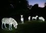 Heidelberger Zoo-Leuchten noch bis 29. November – Mit Aktion von Fody’s